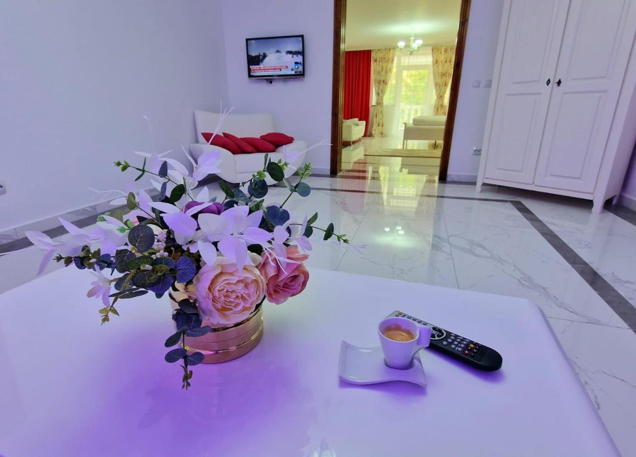 Casa Avram Hotel Suceviţa Kültér fotó