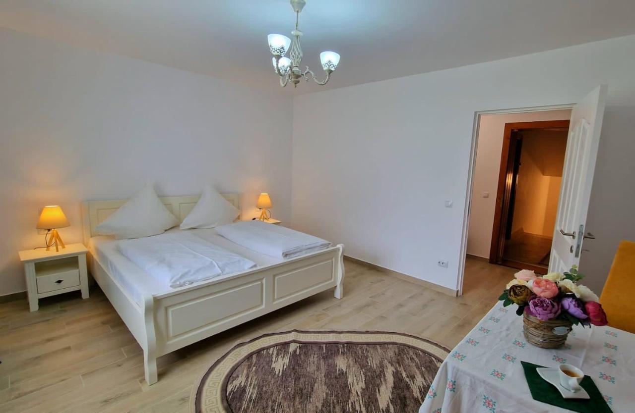 Casa Avram Hotel Suceviţa Kültér fotó